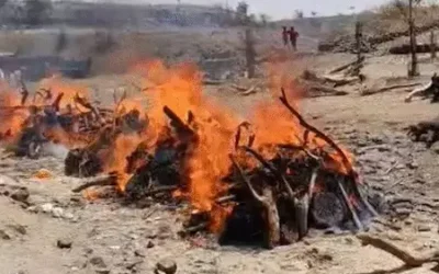 MP Road Accident :  MP के तीन गांवों में पसरा मातम, 16 लोगों की मौत