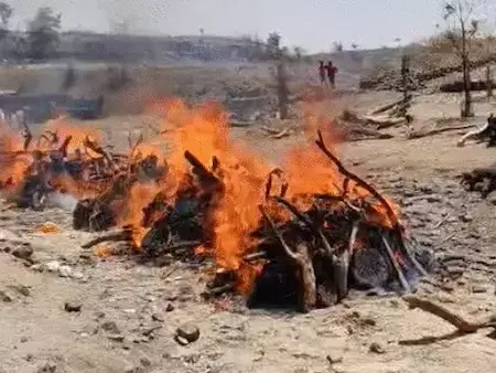 मध्य प्रदेश