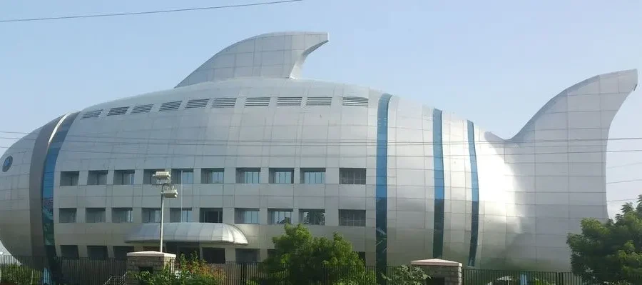 मत्स्य सहकारी