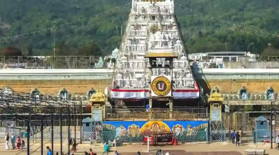 दर्शन