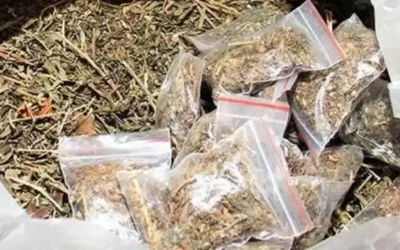 Crime : अंतरराज्यीय गांजा तस्करी रैकेट का भंडाफोड़