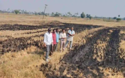Crop-residues : फसल अवशेष न जलाएं, वैज्ञानिक तरीके अपनाएं