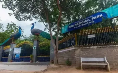 Hyderabad : केबीआर पार्क के आसपास पेड़ों की कटाई पर सुप्रीम कोर्ट की रोक