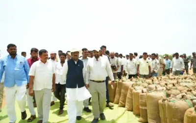 Purchase Target : खरीद लक्ष्य 1.70 लाख टन, किसानों का एक-एक दाना खरीदेगी सरकार – विवेक