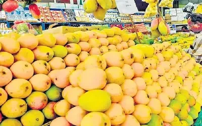 America: अमेरिका में भारतीय आमों की भारी मांग