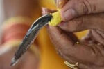 8 जून को मछली प्रसाद का वितरण.. नामपल्ली में कैसी हैं तैयारियां?
