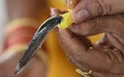 Hyderabad fish prasadam 2026 : 8 जून को मछली प्रसाद का वितरण.. नामपल्ली में कैसी हैं तैयारियां?