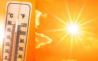 Weather- उत्तर भारत में हीटवेव का कहर, दक्षिण में बारिश-आंधी का अलर्ट