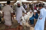 मुंबई के गोकुलधाम में बकरीद पर कुर्बानी को लेकर विवाद