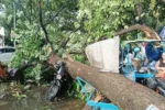 Bihar Weather- बिहार में आंधी-बारिश का कहर, सैकड़ों पेड़ गिरे,पटना समेत कई जिलों में 9 लोगों की मौत