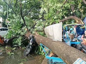 Bihar Weather- बिहार में आंधी-बारिश का कहर, सैकड़ों पेड़ गिरे,पटना समेत कई जिलों में 9 लोगों की मौत