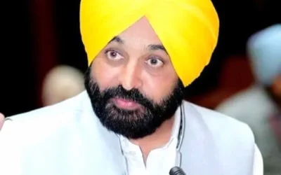 Punjab- आवारा कुत्तों पर सुप्रीम कोर्ट के निर्देशों पर अमल करेगी पंजाब सरकार : सीएम मान