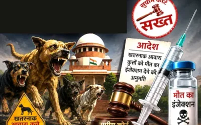 Supreme Court- खतरनाक आवारा कुत्तों पर सुप्रीम कोर्ट सख्त, मौत का इंजेक्शन देने की अनुमति