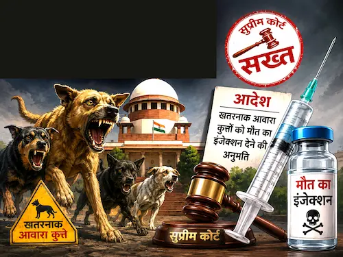 Supreme Court strict on dangerous stray dogs, AI Genereted Pic.