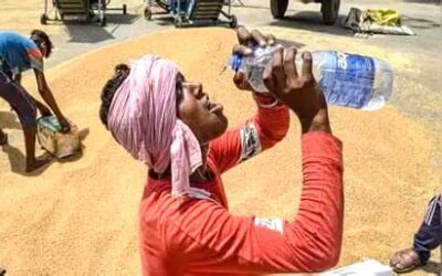Weather- गर्मी का कहर : दिल्ली-यूपी में तापमान 45 डिग्री के पार, मौसम विभाग ने जारी किया अलर्ट