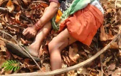 Maharashtra : चंद्रपुर में दर्दनाक हादसा, बाघ के हमले में चार महिलाओं की मौत