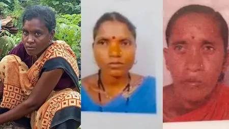 बाघ