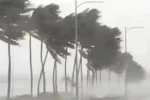 100 KM/H तूफान और भारी बारिश का अलर्ट, IMD ने जारी किया रेड अलर्ट