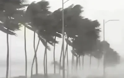 Weather Update : 100 KM/H तूफान और भारी बारिश का अलर्ट, IMD ने जारी किया रेड अलर्ट
