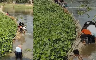 Bihar-News : कटिहार में चचरी पुल ध्वस्त, बड़ा हादसा टला